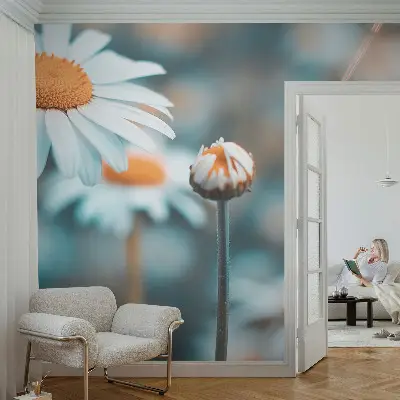 Papier peint intissé imprimé Délice à la camomille