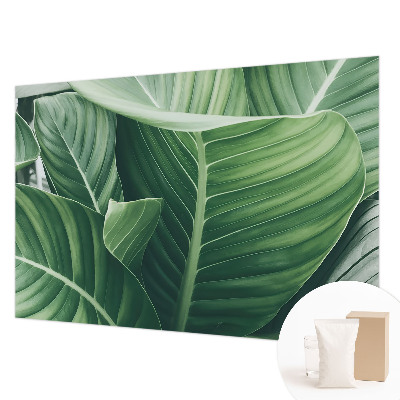 Papier peint panoramique chambre avec motif vert