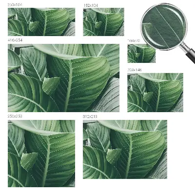 Papier peint intissé Paix verte
