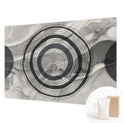 Papier peint photo grand format pour le mur Cercles gris