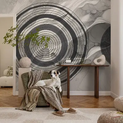 Papier peint photo grand format pour le mur Cercles gris