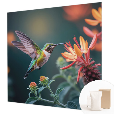 Papier peint panoramique sur mesure Kvety kolibríka
