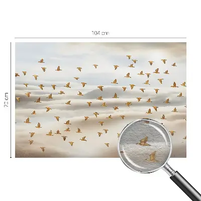 Papier peint photo sur tissu non tissé Oiseaux en vol