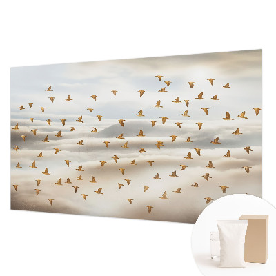 Papier peint photo Vtáky za letu