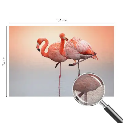 Papier peint photographique intissé Flamants roses délicats