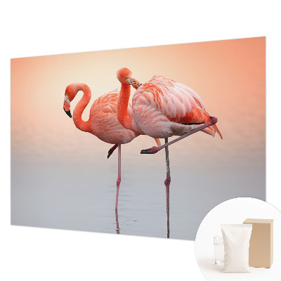 Décoration murale panoramique intissé Jemné plameniaky