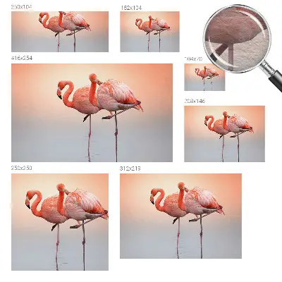 Papier peint photographique intissé Flamants roses délicats