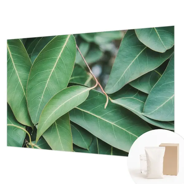 Papier peint photo grand format pour le mur Feuilles vertes