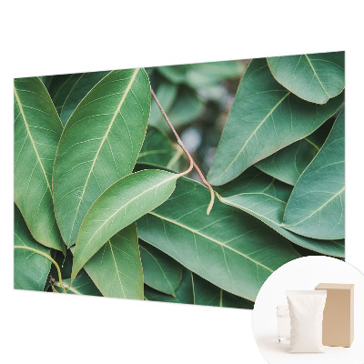 Papier peint panoramique sur mesure avec un motif de feuilles vertes