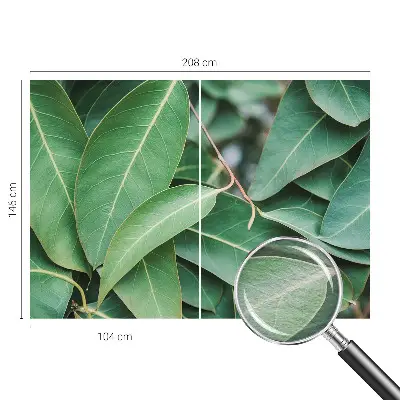 Papier peint photo grand format pour le mur Feuilles vertes