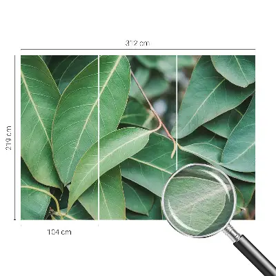 Papier peint photo grand format pour le mur Feuilles vertes
