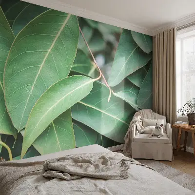 Papier peint photo grand format pour le mur Feuilles vertes