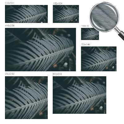 Papier peint panoramique enfant Zelený list