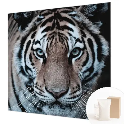 Papier peint intissé imprimé Portrait du tigre