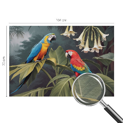 Tapisserie panoramique Farebné papagáje