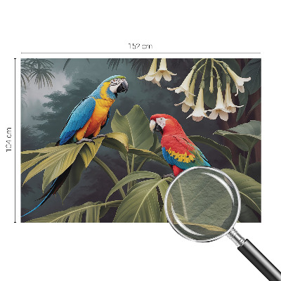 Tapisserie panoramique Farebné papagáje
