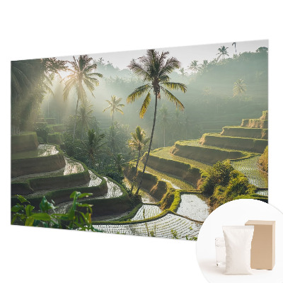 Papier peint panoramique haut de gamme avec le motif « Rajské terasy »