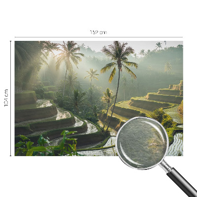 Papier peint panoramique haut de gamme Rajské terasy