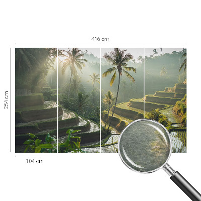 Papier peint panoramique haut de gamme Rajské terasy