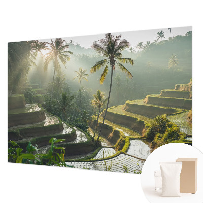 Papier peint panoramique haut de gamme avec le motif « Rajské terasy »