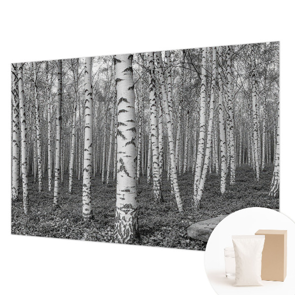 Papier peint panoramique intissé moderne avec un motif de forêt de bouleaux