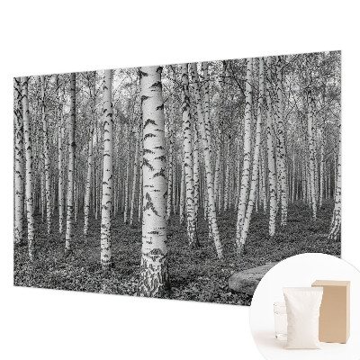 Papier peint panoramique intissé moderne avec un motif de forêt de bouleaux