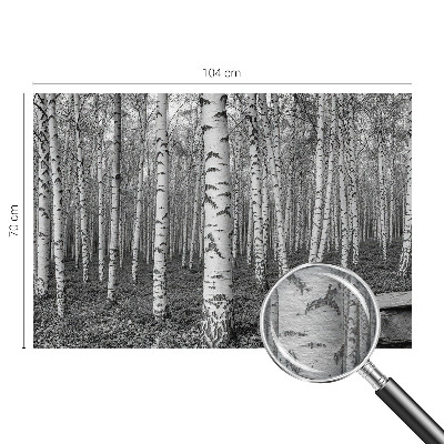 Papier peint panoramique intissé moderne avec un motif de forêt de bouleaux