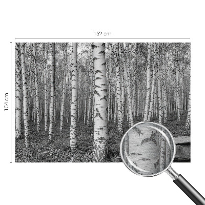 Papier peint panoramique intissé moderne avec un motif de forêt de bouleaux