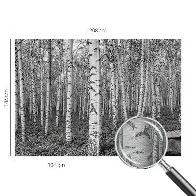 Papier peint intissé imprimé forêt de bouleaux