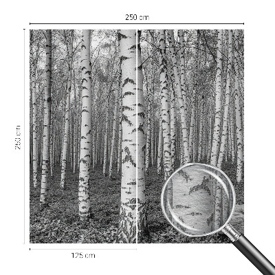 Papier peint panoramique intissé moderne avec un motif de forêt de bouleaux