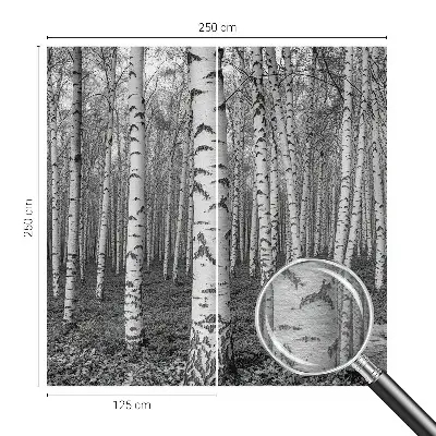 Papier peint intissé imprimé forêt de bouleaux