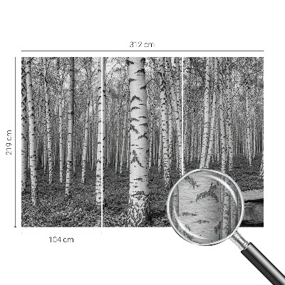 Papier peint panoramique intissé moderne avec un motif de forêt de bouleaux