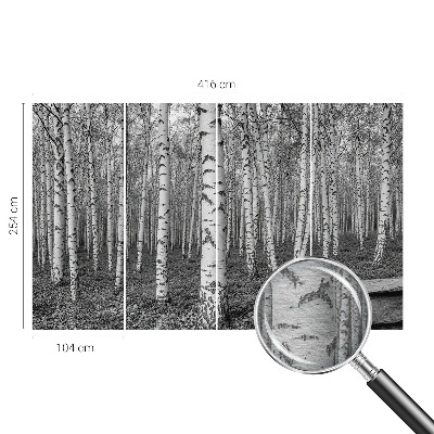 Papier peint panoramique intissé moderne avec un motif de forêt de bouleaux