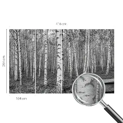 Papier peint intissé imprimé forêt de bouleaux