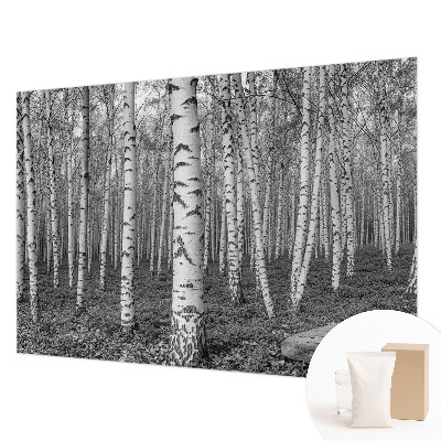Papier peint panoramique intissé moderne avec un motif de forêt de bouleaux