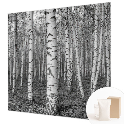 Papier peint panoramique intissé moderne avec un motif de forêt de bouleaux