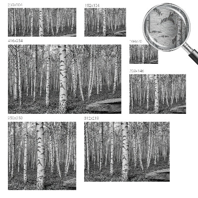 Papier peint panoramique intissé moderne avec un motif de forêt de bouleaux