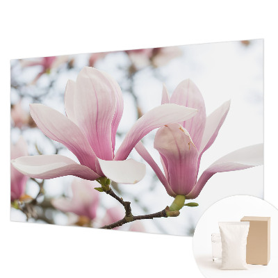 Poster mural panoramique avec un motif de fleurs de magnolia