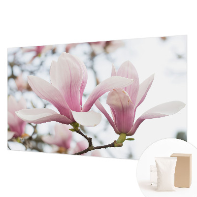 Poster mural panoramique avec un motif de fleurs de magnolia
