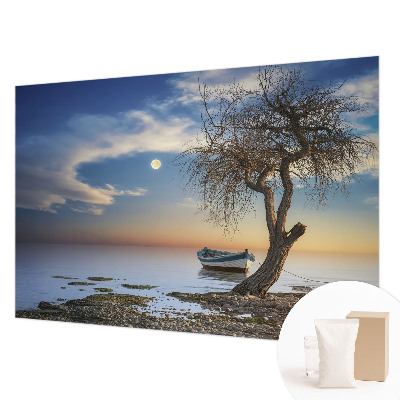 Décoration murale panoramique intissé avec un paysage paisible