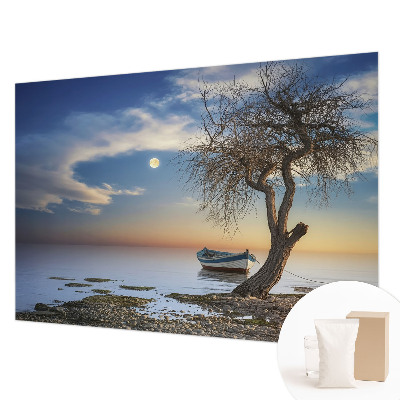 Décoration murale panoramique intissé avec un paysage paisible