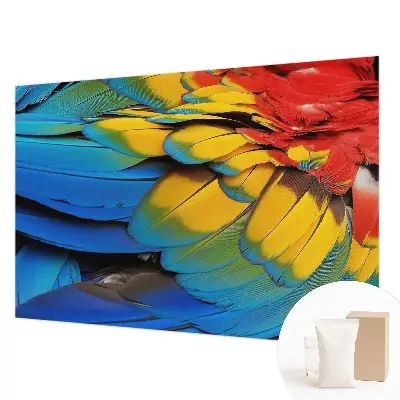 Papier peint photo sur tissu non tissé Plumes arc-en-ciel