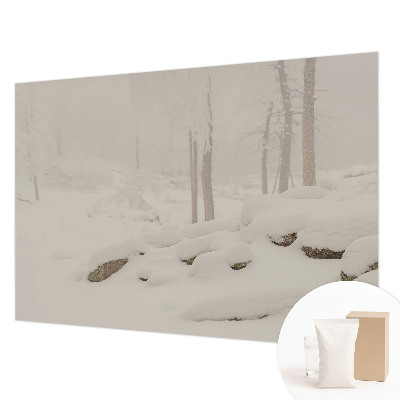 Papier peint panoramique chambre adulte Zasnežený les