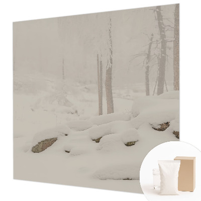 Papier peint panoramique chambre adulte Zasnežený les