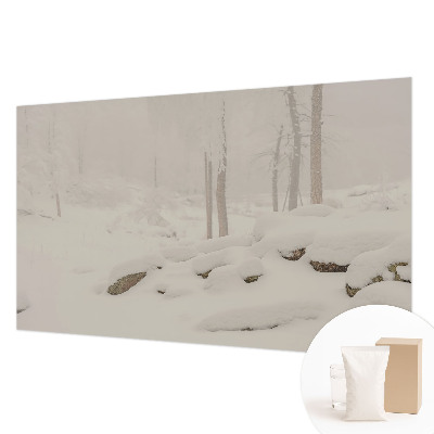 Papier peint panoramique chambre adulte Zasnežený les