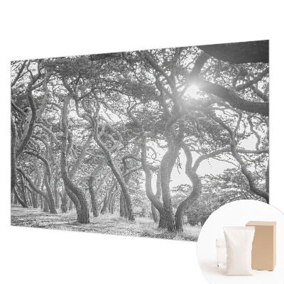 Papier peint panoramique chambre adulte avec un motif de forêt atmosphérique