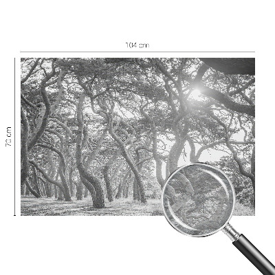 Papier peint panoramique chambre adulte Atmosférický les