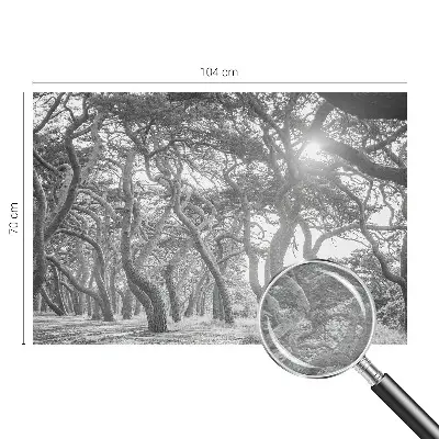 Papier peint photographique sur tissu non tissé Forêt atmosphérique