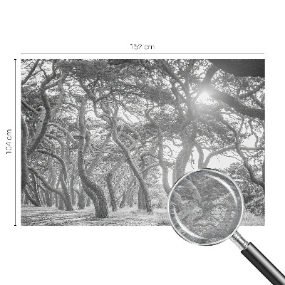 Papier peint panoramique chambre adulte Atmosférický les