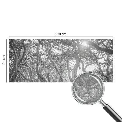 Papier peint photographique sur tissu non tissé Forêt atmosphérique